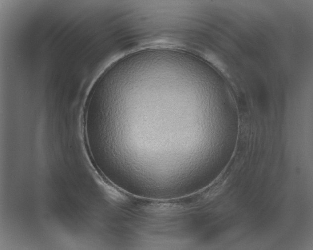 X0000074261474200608251213