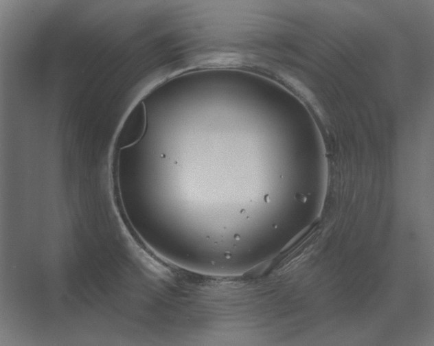 X0000074261475200608251213