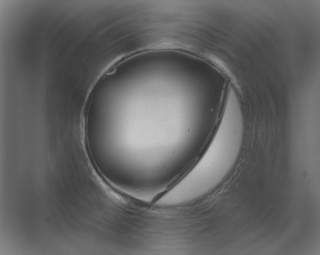 X0000074261476200608251213