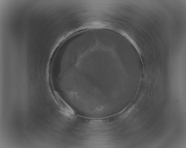 X0000074261477200608251213