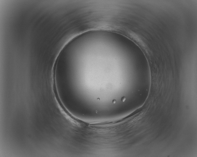 X0000074261479200608251213