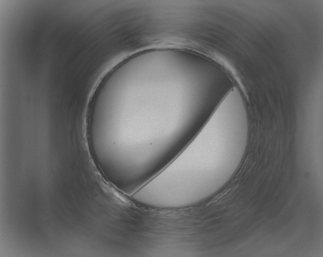 X0000074261480200608251213