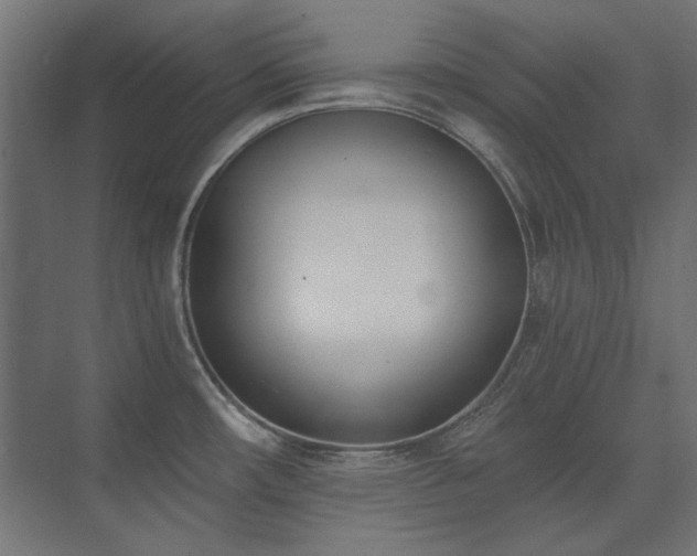 X0000074261482200608251213