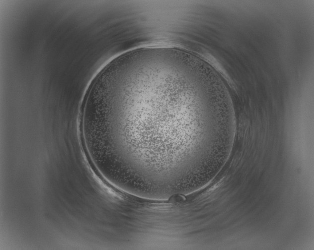 X0000074261484200608251213