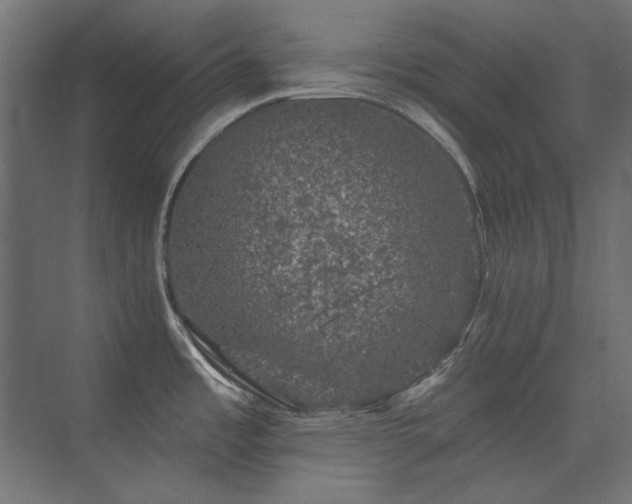 X0000074261485200608251213