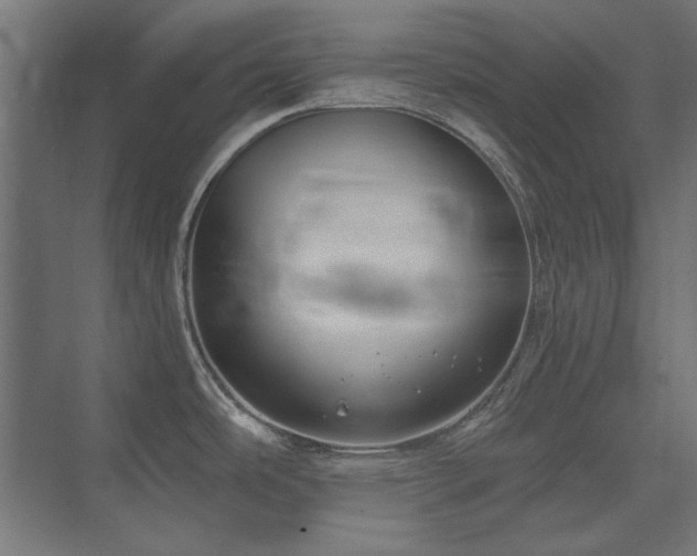 X0000074261486200608251213