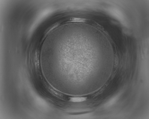 X0000074261487200608251213