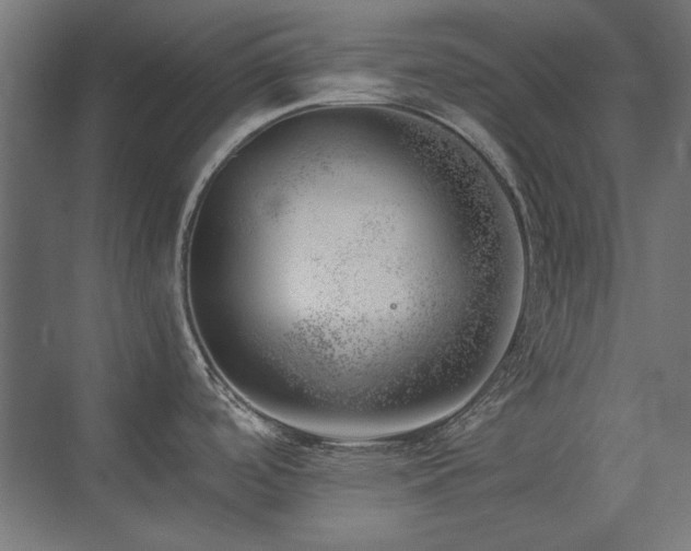 X0000074261488200608251213