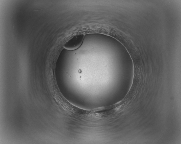 X0000074261489200608251212