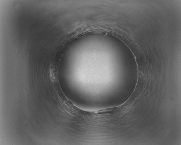 X0000074261490200608251212