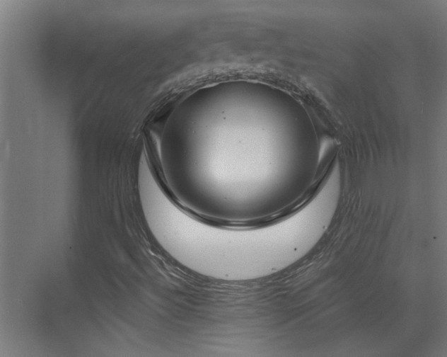 X0000074261492200608251212