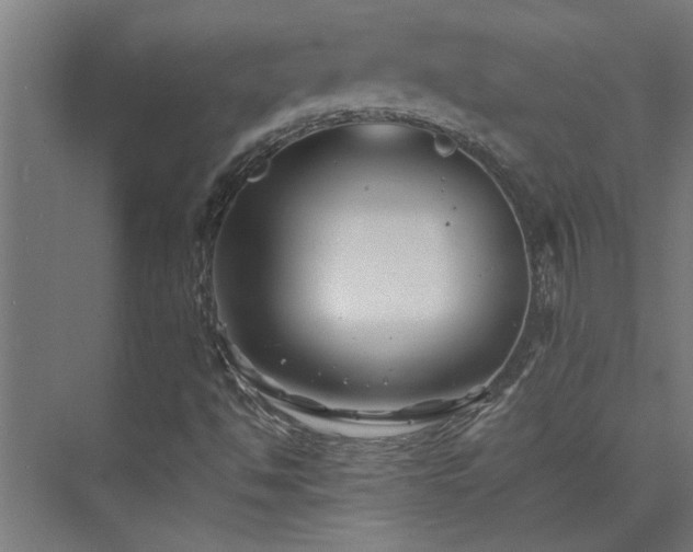 X0000074261494200608251212