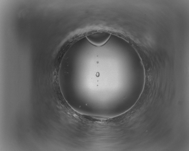 X0000074261495200608251212