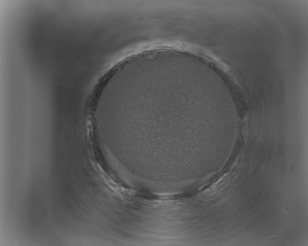 X0000074261496200608251212