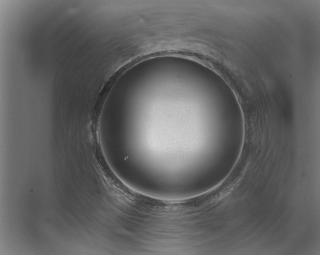 X0000074261497200608251212