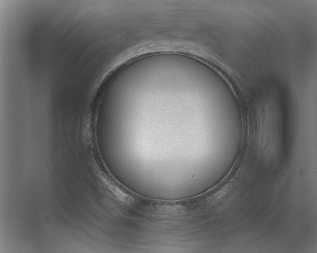 X0000074261498200608251212