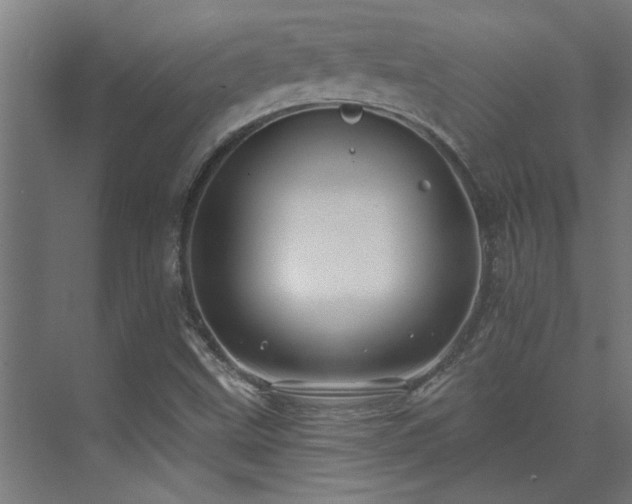 X0000074261499200608251212