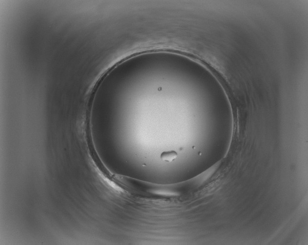 X0000074261500200608251212