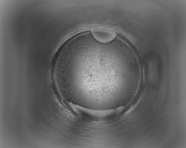 X0000074261501200608251212