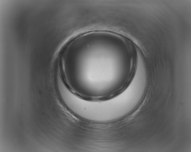 X0000074261502200608251212