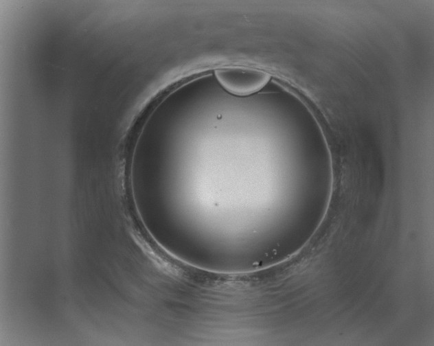 X0000074261503200608251212