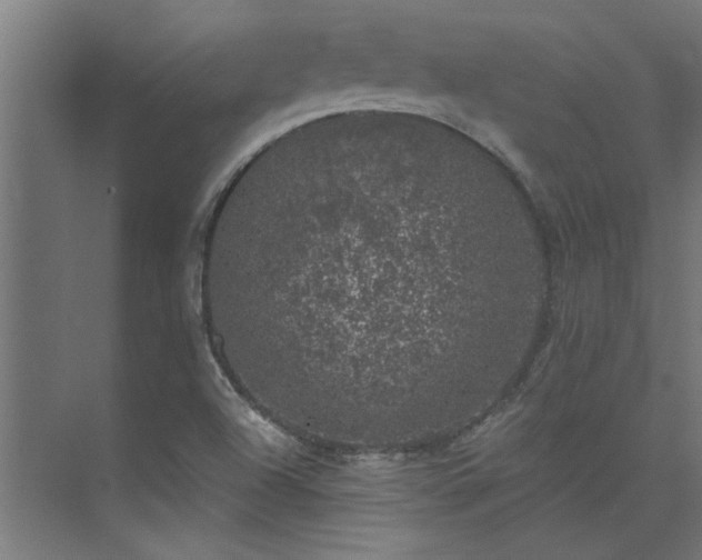 X0000074261504200608251212