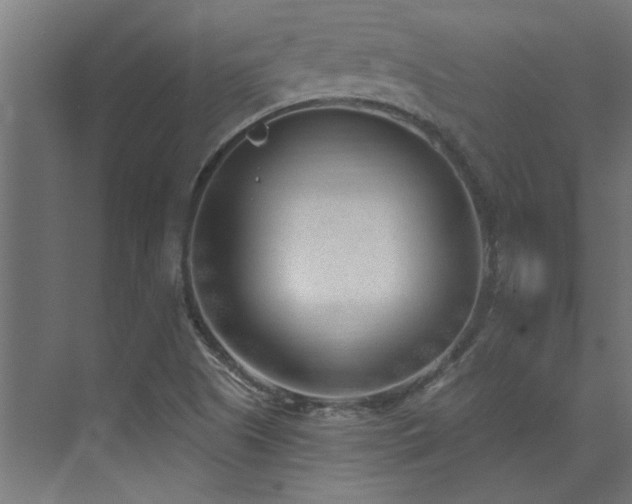 X0000074261505200608251212