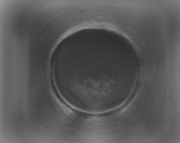 X0000074261506200608251212