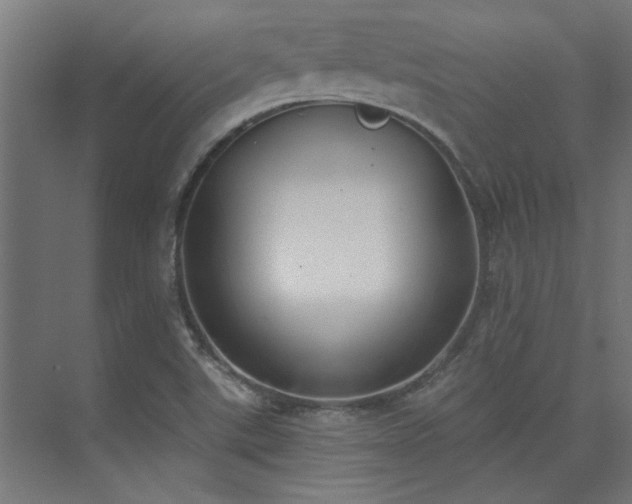 X0000074261507200608251212