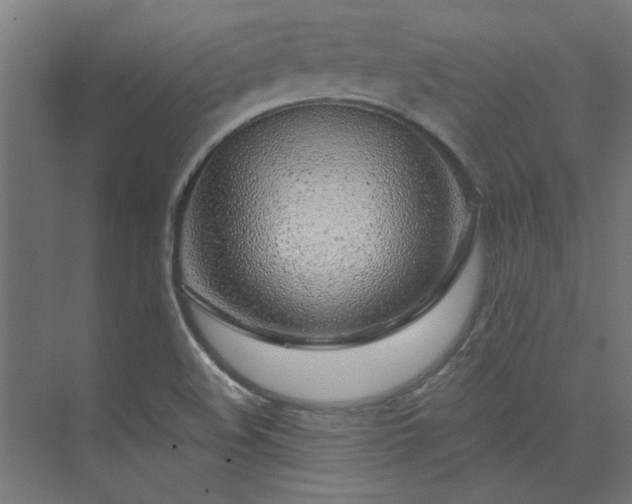 X0000074261508200608251212