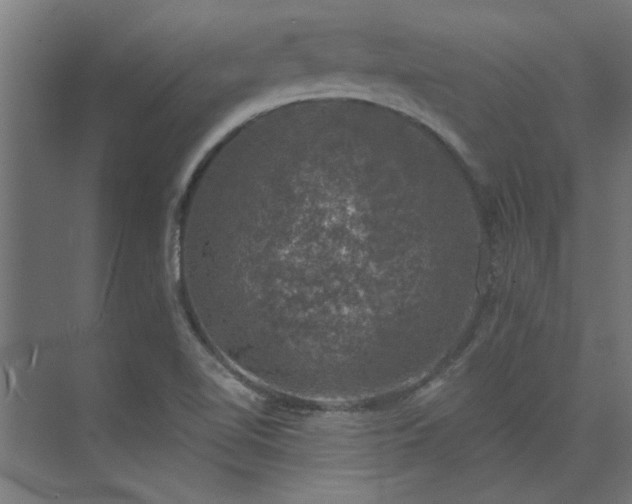 X0000074261510200608251212