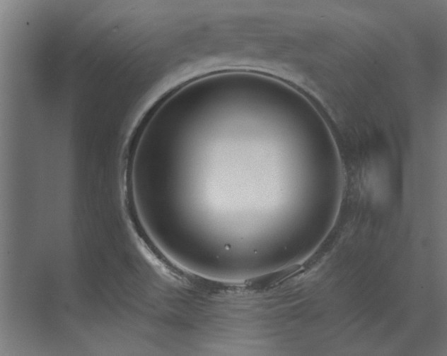 X0000074261511200608251212