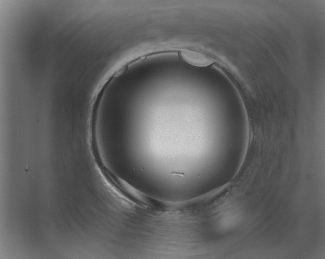 X0000074261512200608251212