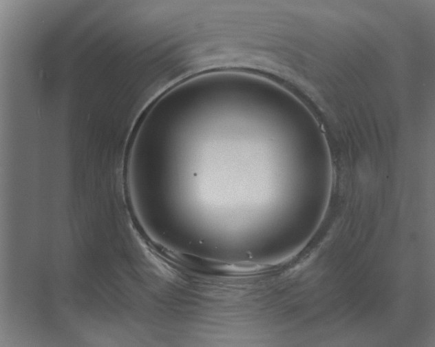 X0000074261513200608251212