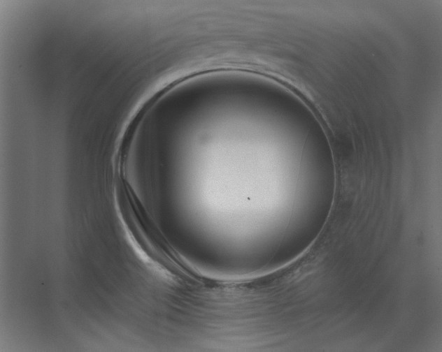 X0000074261515200608251212