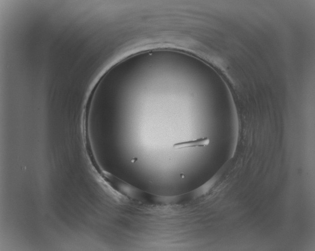 X0000074261516200608251213