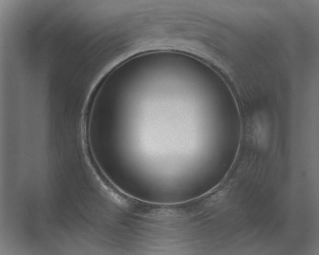 X0000074261517200608251213