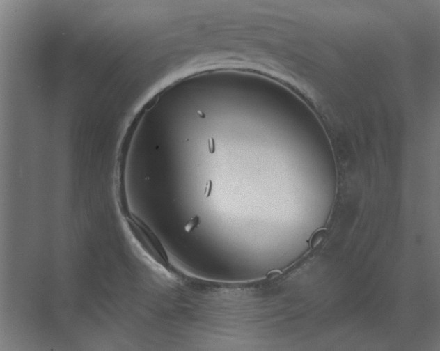 X0000074261518200608251213