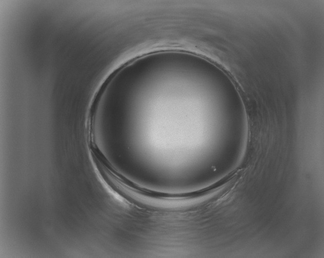 X0000074261519200608251213