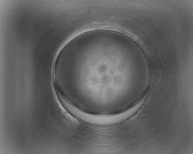 X0000074261520200608251213