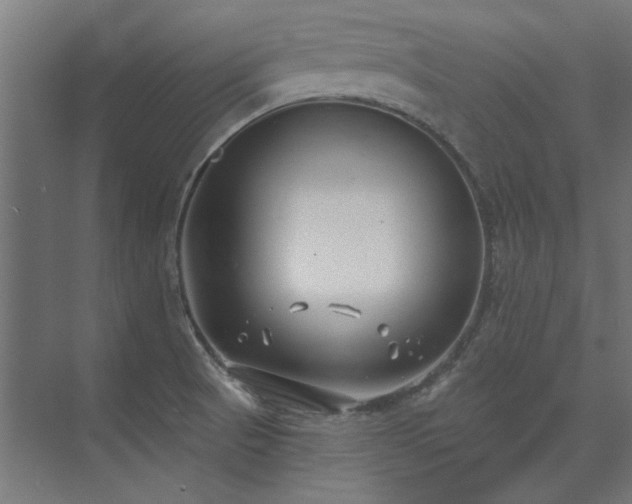 X0000074261521200608251213