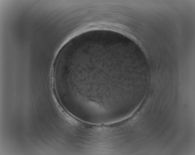 X0000074261522200608251213