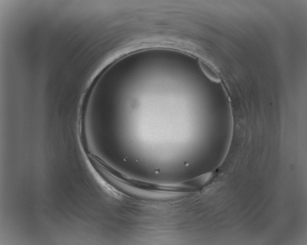 X0000074261523200608251213