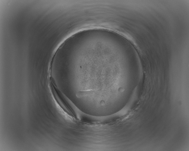 X0000074261524200608251213