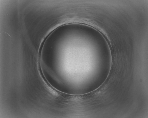 X0000074261525200608251213