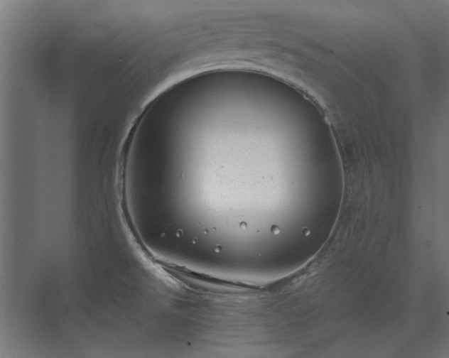 X0000074261526200608251213