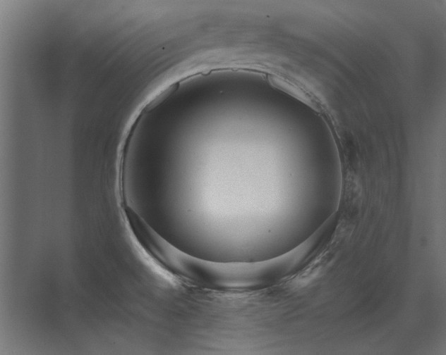 X0000074261528200608251213