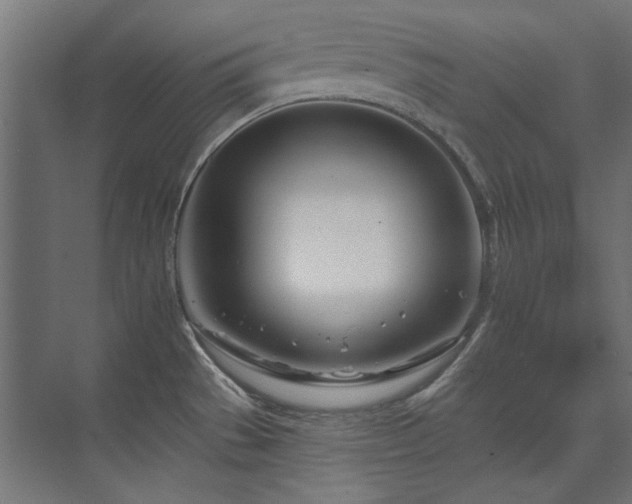 X0000074261529200608251213