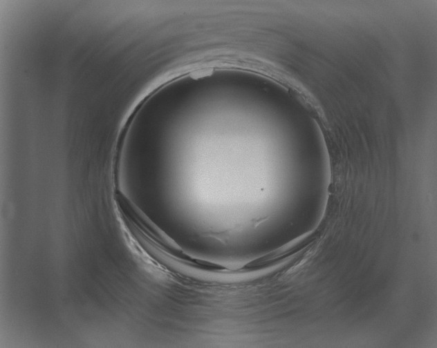 X0000074261530200608251213