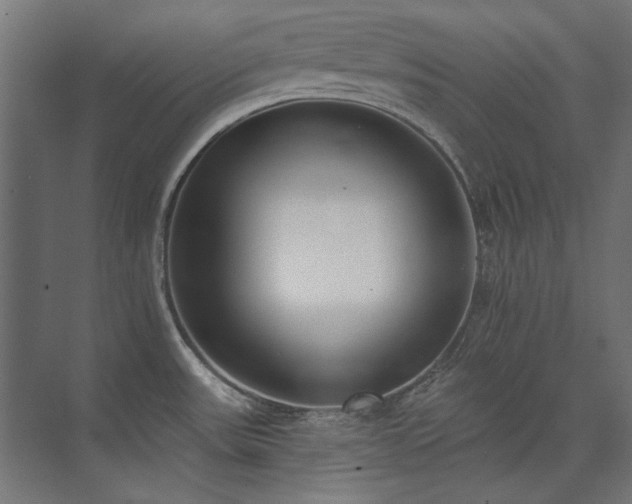 X0000074261531200608251213